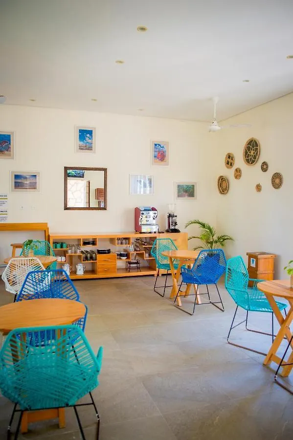 Suites Cielo Y Mar (Adults Only) Playa del Carmen 3*,