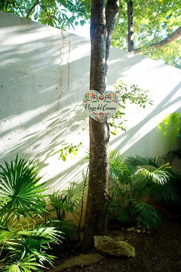 Suites Cielo Y Mar (Adults Only) Playa del Carmen Aparthotel